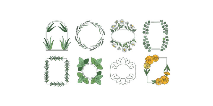 Hand Drawn Botanical Frame Collection with Herbs Flowers Leaves Wreaths and Decorative Borders