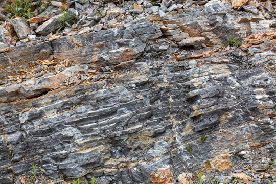 Detailed Texture of Fractured Grey Sedimentary Rock Face with Mineral Veins