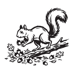 Obraz premium Squirrel eating acorns on fallen branch illustration with black white, wood land