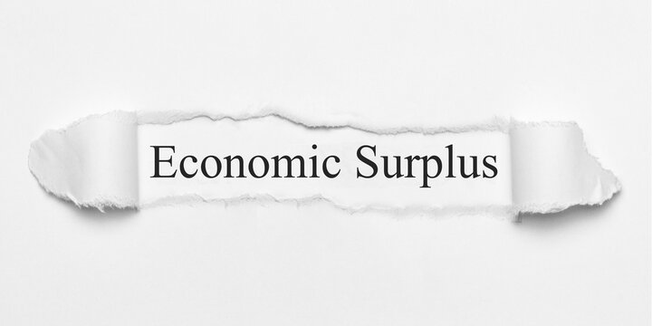 Economic Surplus	
