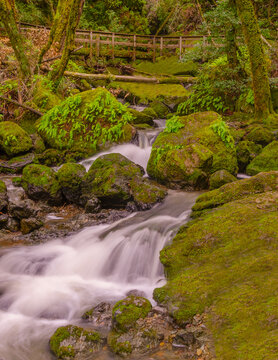 A serene stream flows through a lush forest, surrounded by moss-covered rocks. A wooden bridge in the background enhances the natural scene by a long exposure.