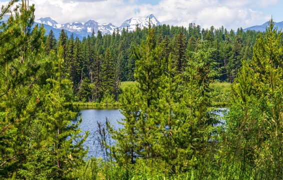 Summit Lake and the Mission Mountains in Montana along Highway 83