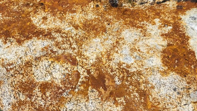 Close-up of a unique rock surface featuring intricate natural structures, sand and rust brown tones. The contrasting mineral textures and earthy colors create an abstract geological pattern.