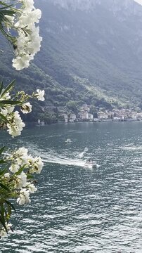 Scenic view of Lake Como and mountains with white flowers and a boat from a viewpoint in Italy
