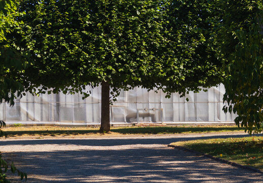 Im Park im Hochsommer bei viel Hitze im Gr&uuml;nen mit Schatten unter Linden
