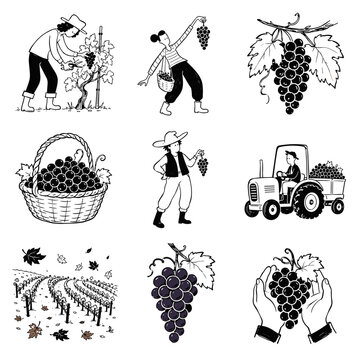 Grape harvest season, 9 pcs icon set isolated