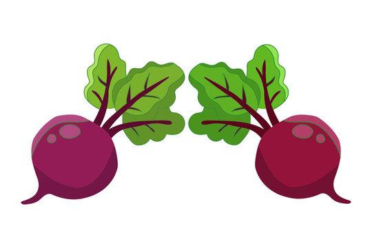 Two fresh red beetroots with green leaves