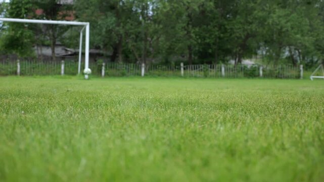 Leg of sportsman shooting a penalty kicks on stadium at summer day. Male foot of professional footballer kicking ball at green field. Young man training at meadow. Concept of a freestyle football