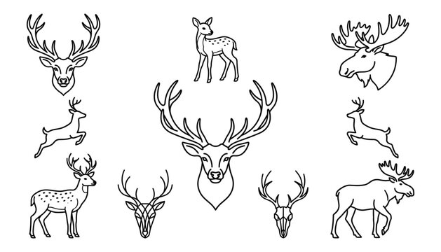 Wild deer and moose line icons set for hunting club lodge emblem or nature vector illustration