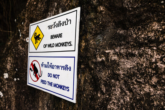 Hinweisschild um vor der Gefahr durch Affen zu warnen