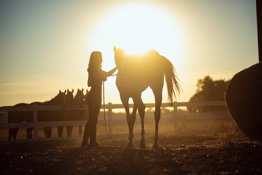 Woman bonding with horse at golden hour sunset