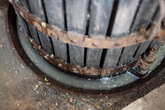 Fresh White Grape Juice Flowing from Wooden Basket Press Base During Harvest in El Maresme