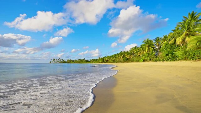 Sunny tropical beach with palm trees. Caribbean beach background. Hot afternoon on an empty beach. The best beaches in the world. Dominican Republic beaches. Caribbean Sea and sky.