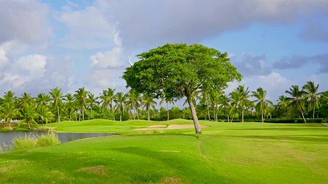 Natural landscape of a tropical park. A sports ground for exciting elite play. Beautiful green golf course with sky. Trees and their shadows on the green grass in a tropical park in the morning.