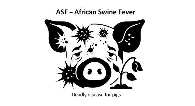 A black and white vector illustration depicting African Swine Fever (ASF), a deadly viral disease affecting pigs, featuring a sick pig graphic with virus cells and text labels.