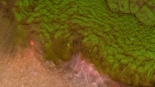Mixing different colored alcohol inks in a close-up view