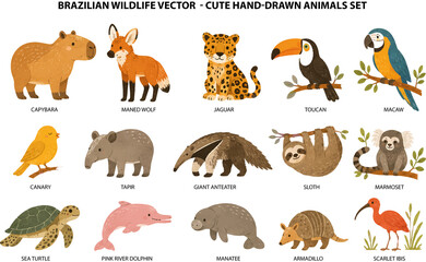 Obraz premium Cute Brazilian Wildlife Animals – Hand-Drawn Fauna Illustration Set