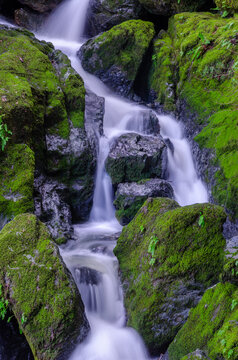 Long exposure of a gentle waterfall flows over moss-covered rocks, creating a serene and lush natural scene. The vibrant green moss contrasts with the soft, white water, offering a sense of tranquilit