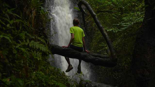 Person sitting on a tree branch enjoying a waterfall in the Hawaiian jungle
