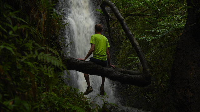 Person sitting on a tree branch enjoying a waterfall in the Hawaiian jungle