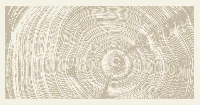 Beige and light brown boho wood texture. Detailed monotone texture of a felled tree trunk or stump. Rough organic tree rings with close up of end grain.