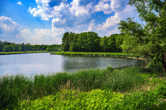 Scenic summer view of Clemson Pond in Exeter, New Hampshire, with reeds, leafy shoreline trees, calm water, and bright clouds over a tranquil natural landscape.