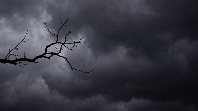 Bare leafless tree branch silhouetted against a dramatic dark stormy sky filled with heavy black clouds, creating an ominous and moody atmosphere.