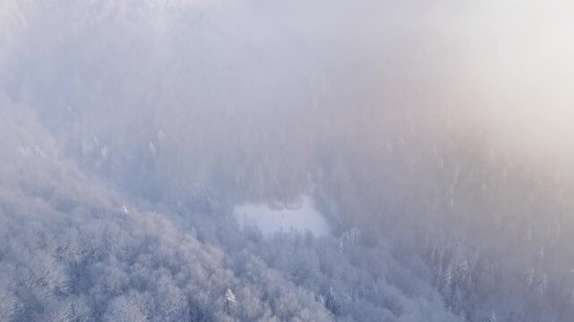 Aerial view of a forest covered with frost on the mountain slopes