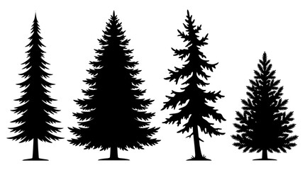 Detailed pine and fir tree silhouettes collection vector set isolated on white background for nature forest landscape graphic design projects © ImranHossain