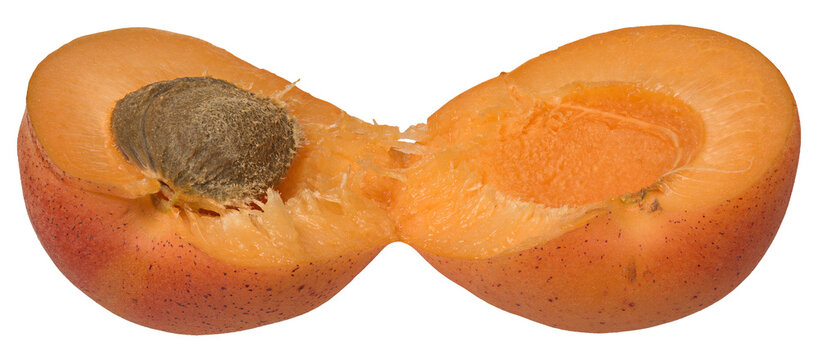 Ripe apricot broken in half with pit on isolated background