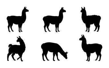 Naklejka premium Black Llama Silhouettes: Six Vector Icons of South American Camelids in Various Poses, Minimalist Animal Graphics