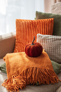 Cozy autumn living room arrangement with plush pillows and decorative pumpkin creating warm inviting home atmosphere