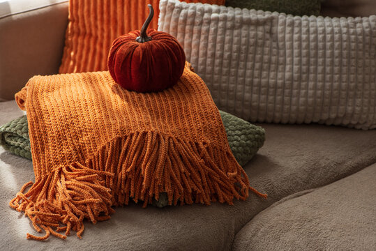 Cozy autumn arrangement with pumpkin and knitted blankets on sofa for home decor concept