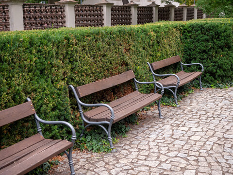Empty wooden park benches beside a neatly trimmed evergreen hedge and cobblestone walkway at Vysehrad historic fortress in Prague, Czech Republic.
