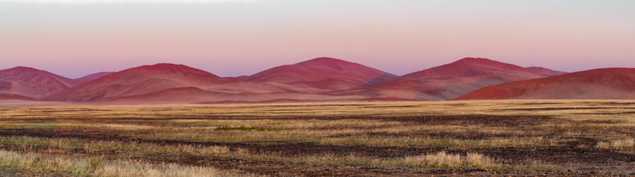 View of the iconic red sand dunes of Sossusvlei rising above the dry, grassy plains under a soft pink sunset sky in the Hardap Region, Namibia.