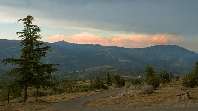 Scenic mountain landscape with evergreen trees, a winding road and dramatic sunset clouds over a peaceful valley.