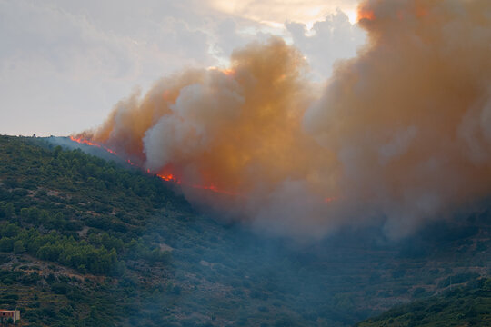 Dramatic wildfire spreading across forested mountains, with massive smoke clouds illuminated by an orange sunset.