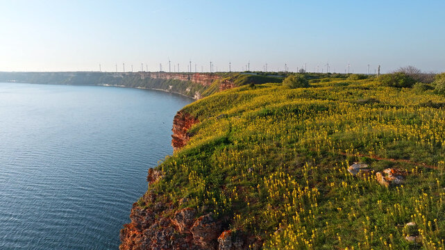 Cape Kaliakra Bulgaria coast blooming nature aerial view yellow flowers Black Sea steep red cliffs panoramic travel background commercial stock photo horizontal