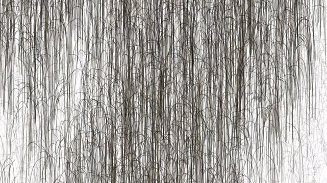 Abstract pattern of thin dark reed or grass lines on a white background, creating a light airy texture.