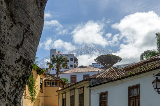 Icod de los Vinos town with El Drago tree and Mount Teide