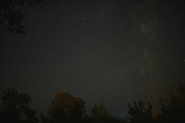 Obraz premium Night sky with stars and milky way over trees