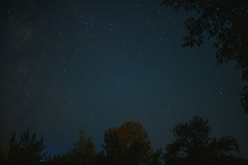 Obraz premium Night sky full of stars above trees