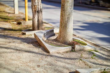 Fototapeta premium Nature Reclaims Urban Space as Tree Damages Concrete Fence and Pavement
