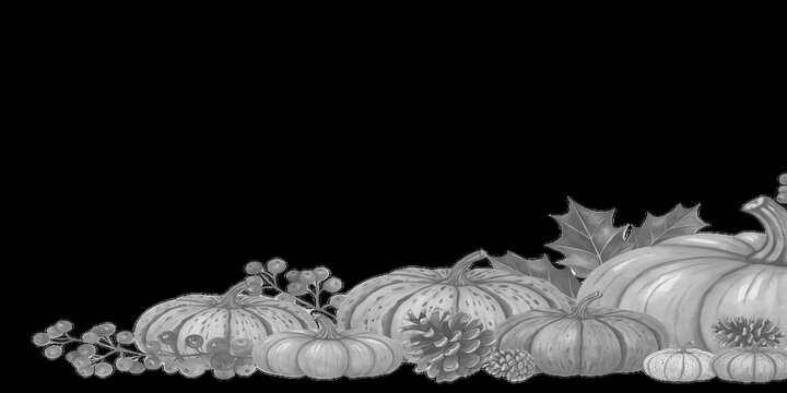 Black and White Pumpkin Border Illustration for Autumn and Thanksgiving