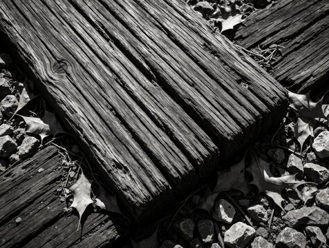 Close up of old weathered wooden railroad ties. Black, white textures show aged timber grain, cracked wood. Abandoned railway sleepers lie on gravel stones with dry autumn leaves in sunlight. Rustic