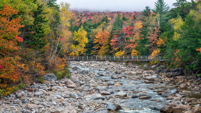 Autumn colors on the Lincoln Woods Trail over the Pemigewasset River taken from the Kancamagus Scenic Highway - New Hampshire