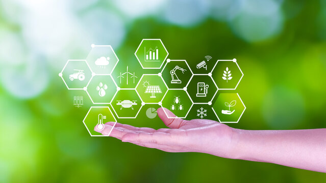 Smart agriculture and agritech concept. Hand using touching digital icons interface of modern farming technology, Agribusiness innovation and smart farming management. not ai