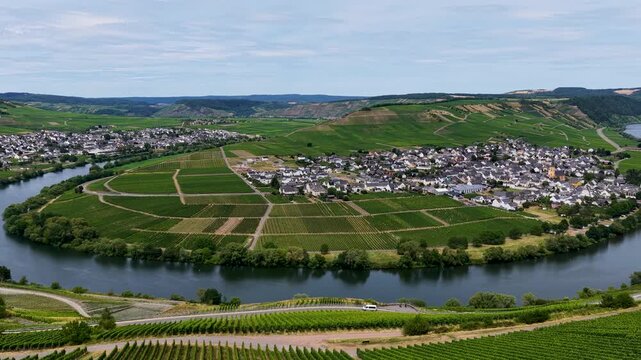 Idyllische Panorama-Luftaufnahme der ber&uuml;hmten Moselschleife bei Trittenheim, umgeben von gr&uuml;nen Weinbergen und sanften H&uuml;geln unter leicht bew&ouml;lktem Sommerhimmel.