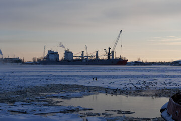 Large cargo vessel locked in frozen river ice with seagulls near open water lane. Winter arctic industrial landscape with copy space. © Konstantin