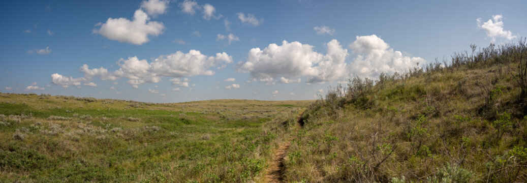 Panorama of dry badlands vista with a transparent sky
